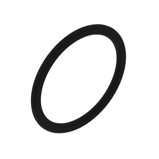 R121424: O-Ring