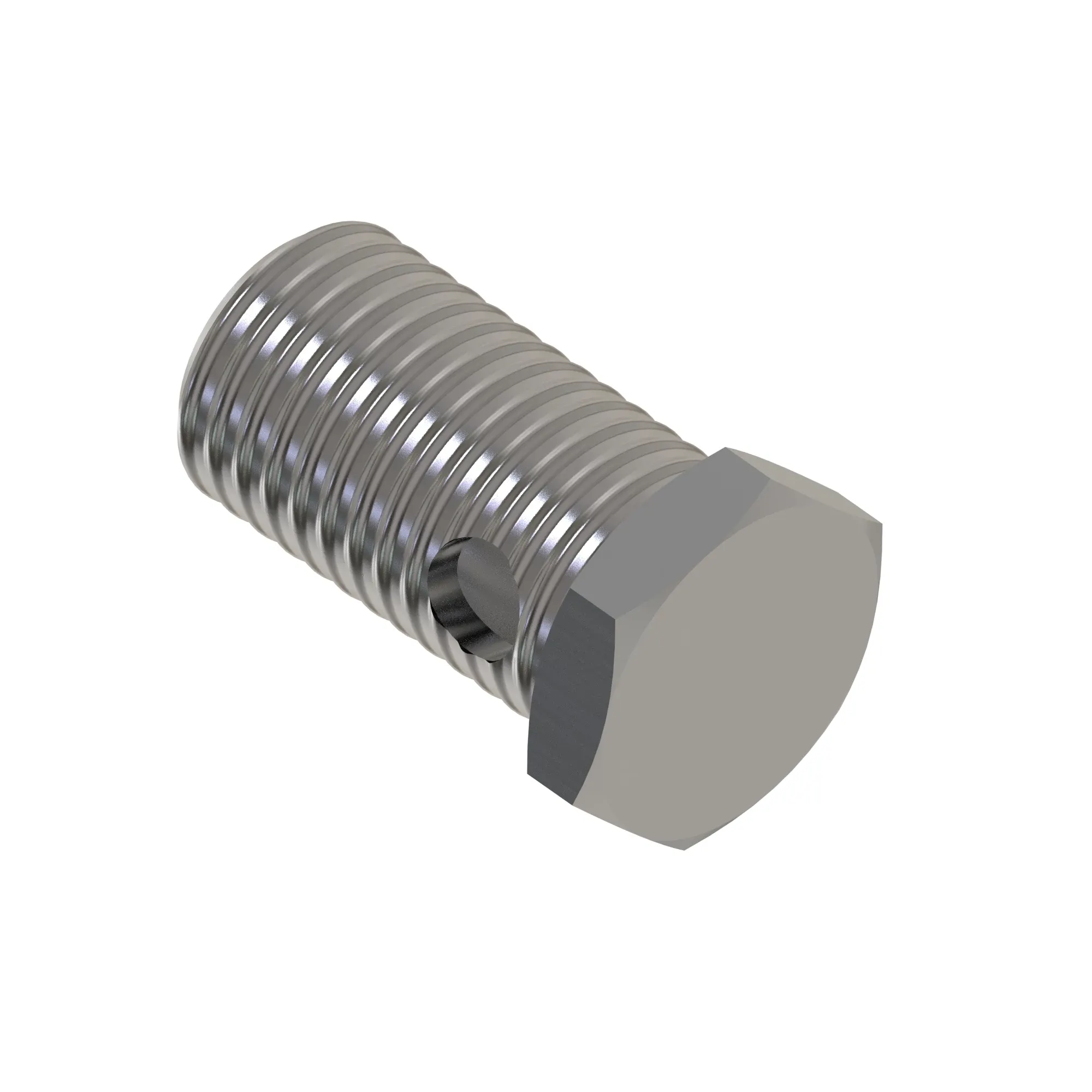 Hollow Screw