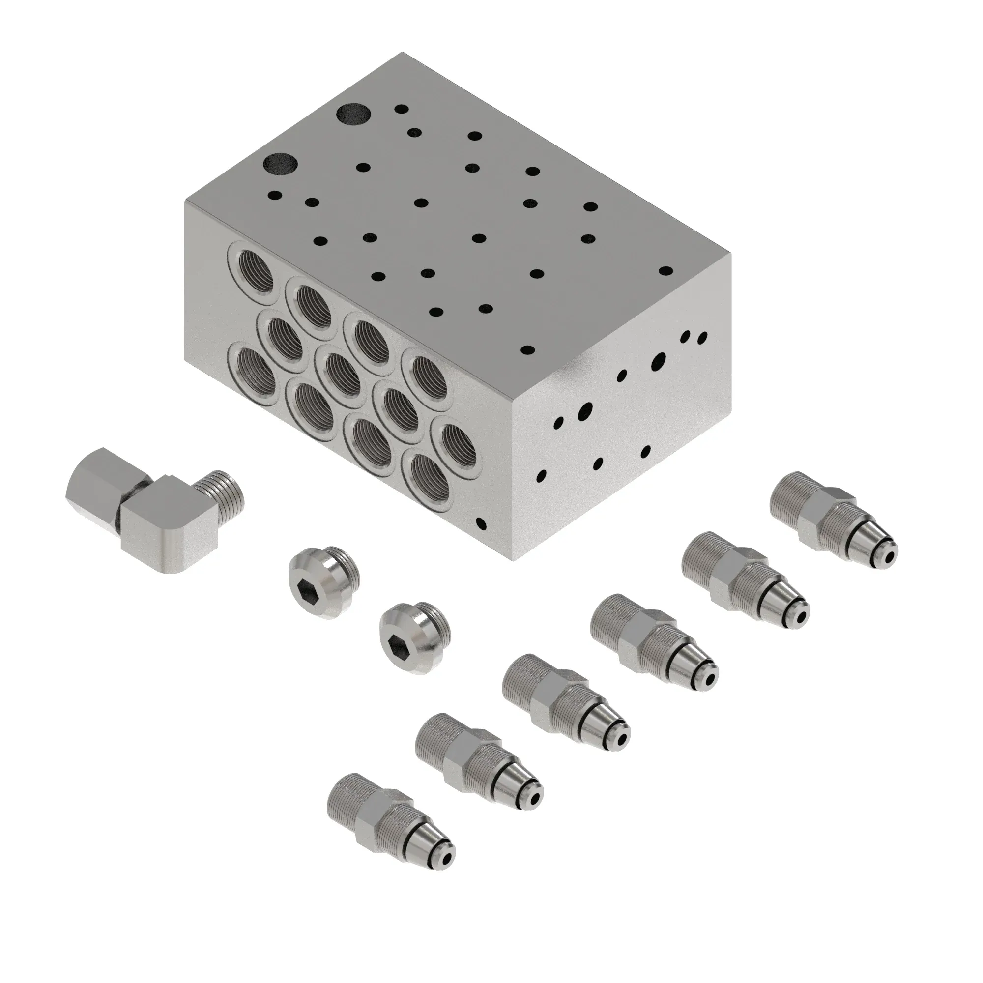Manifold Kit