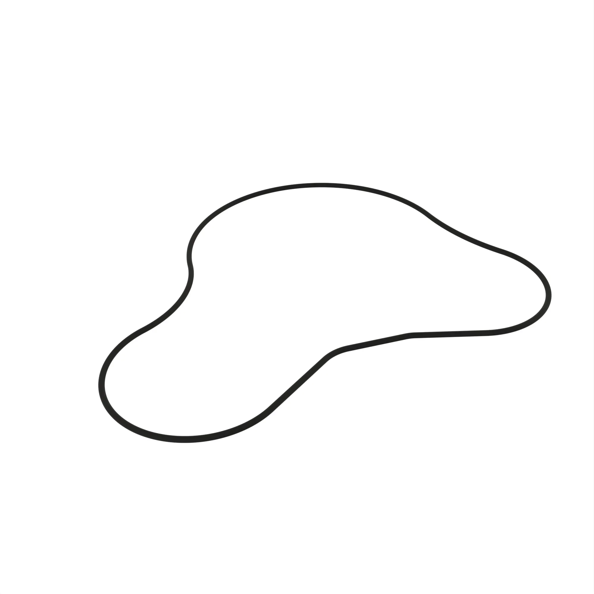 O-RING