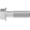Screw