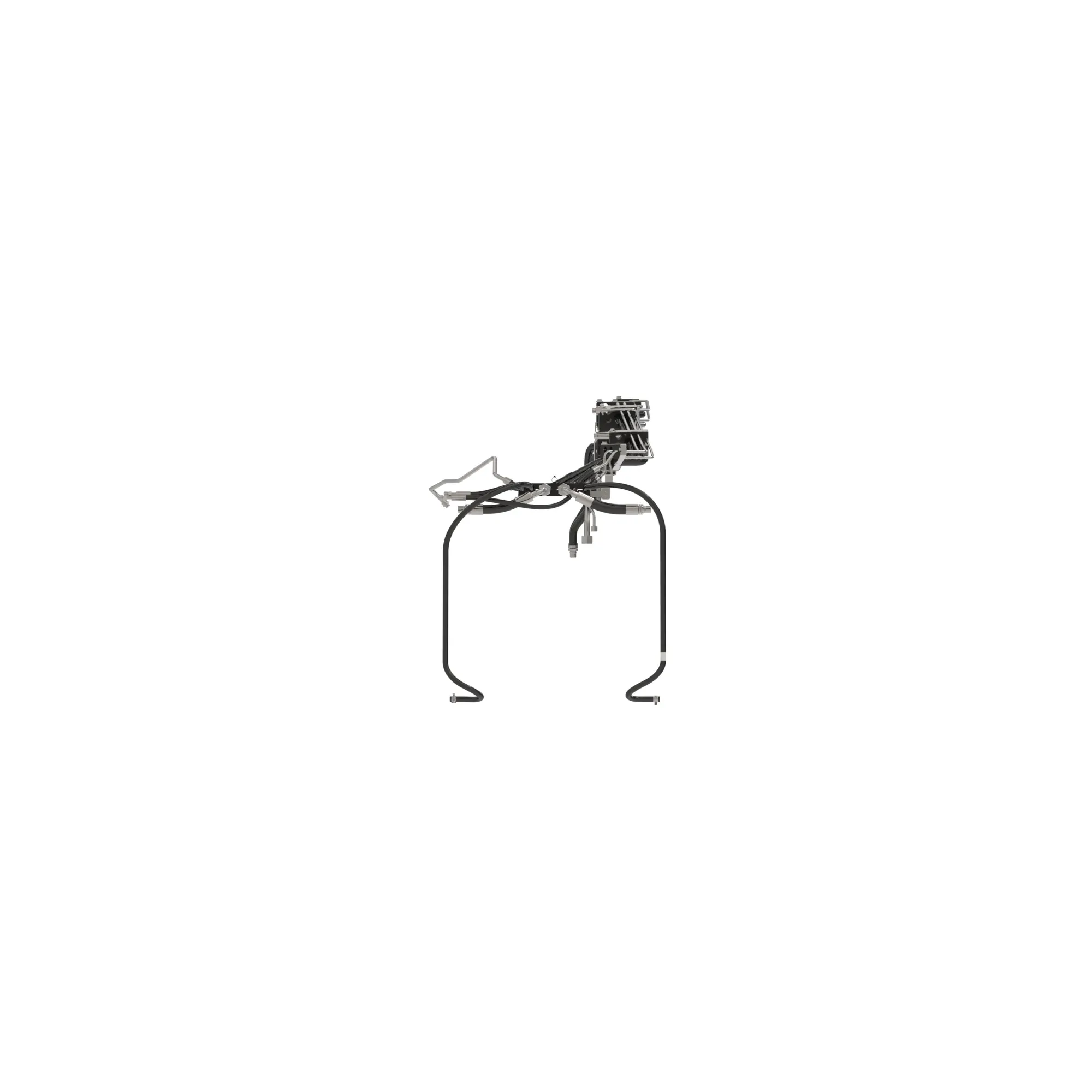 Manifold