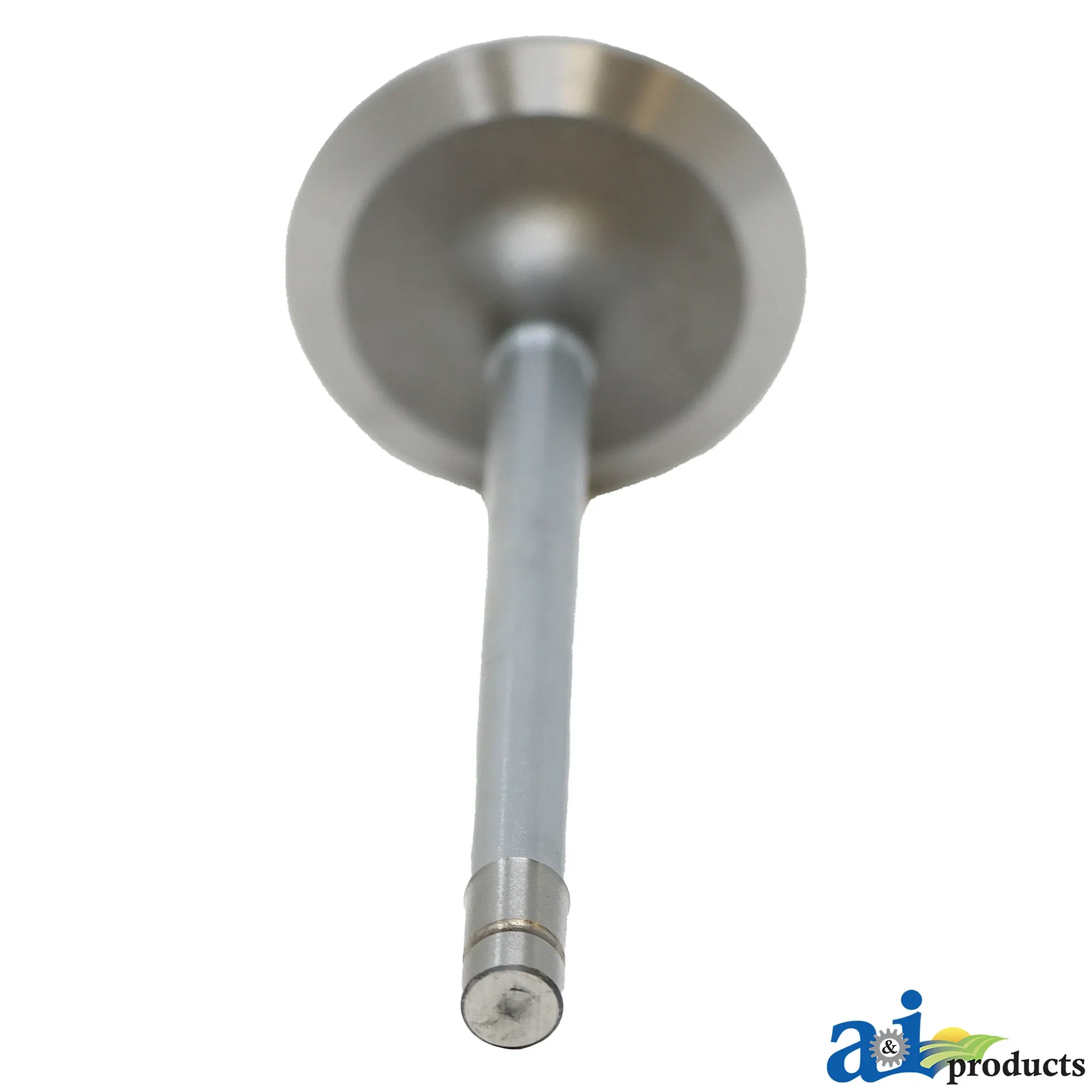 Intake Valve
