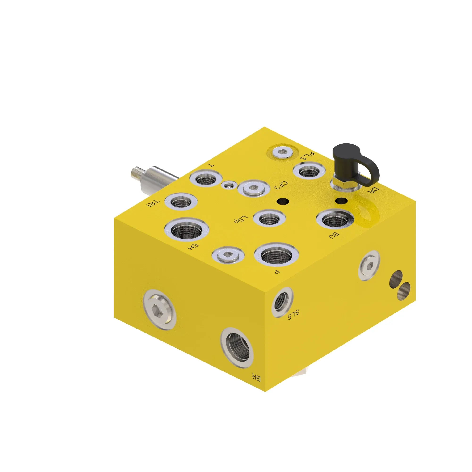 Manifold