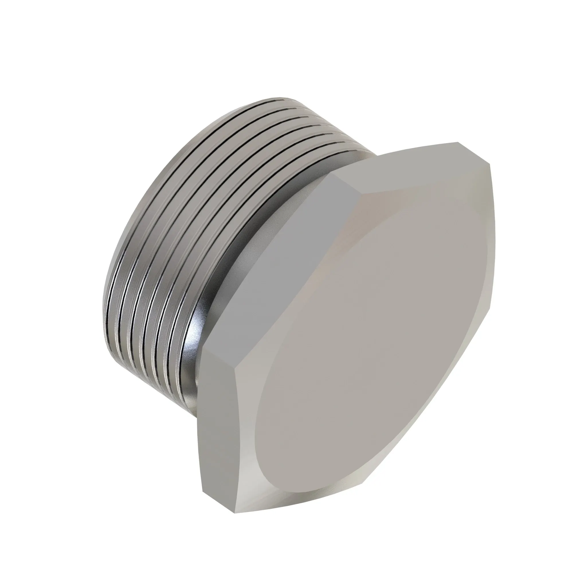 Fitting Plug