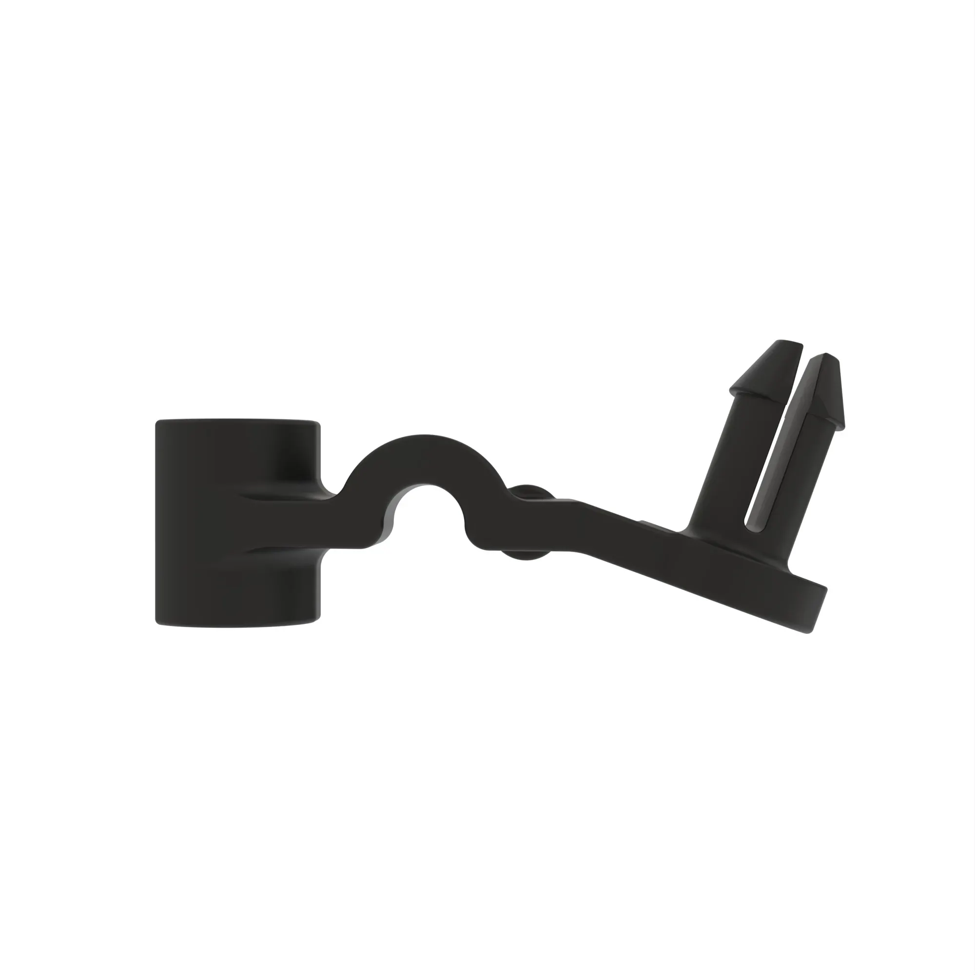 arm