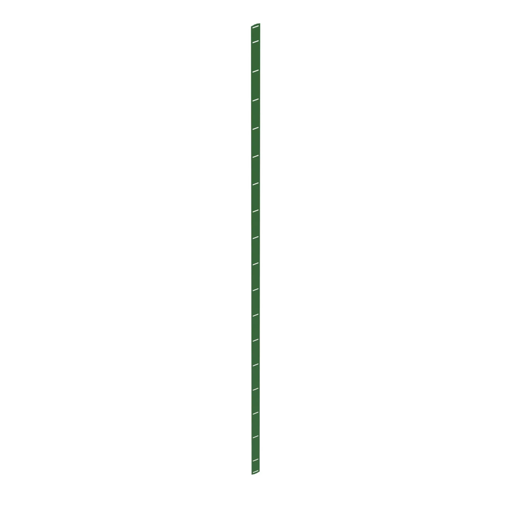 Stripper