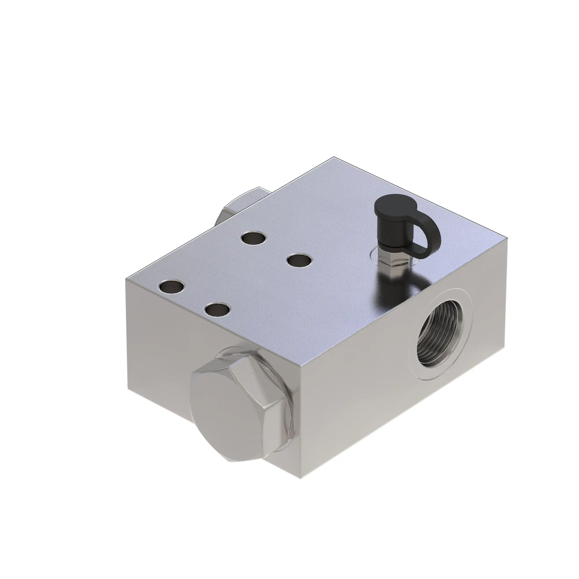 Manifold