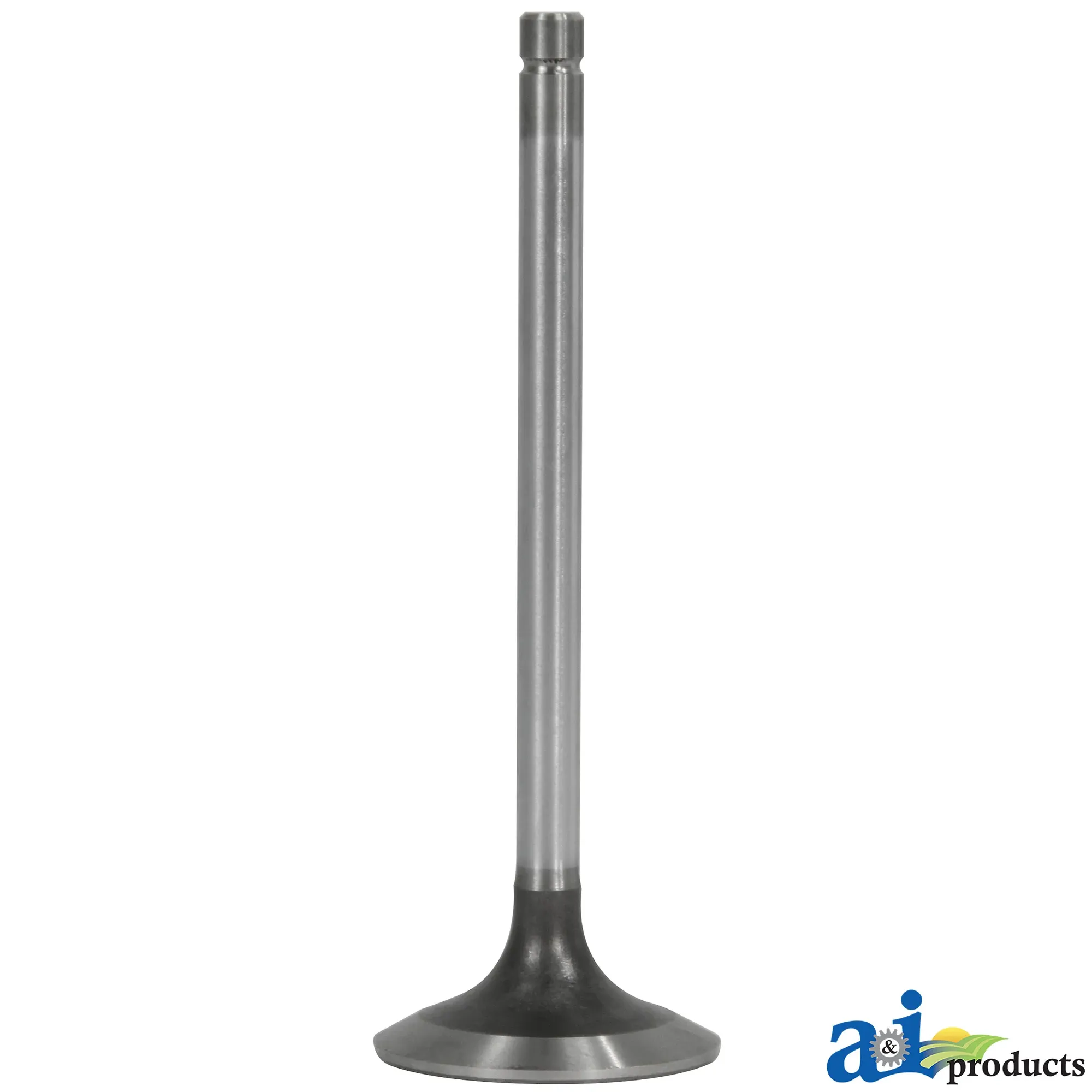 Exhaust Valve