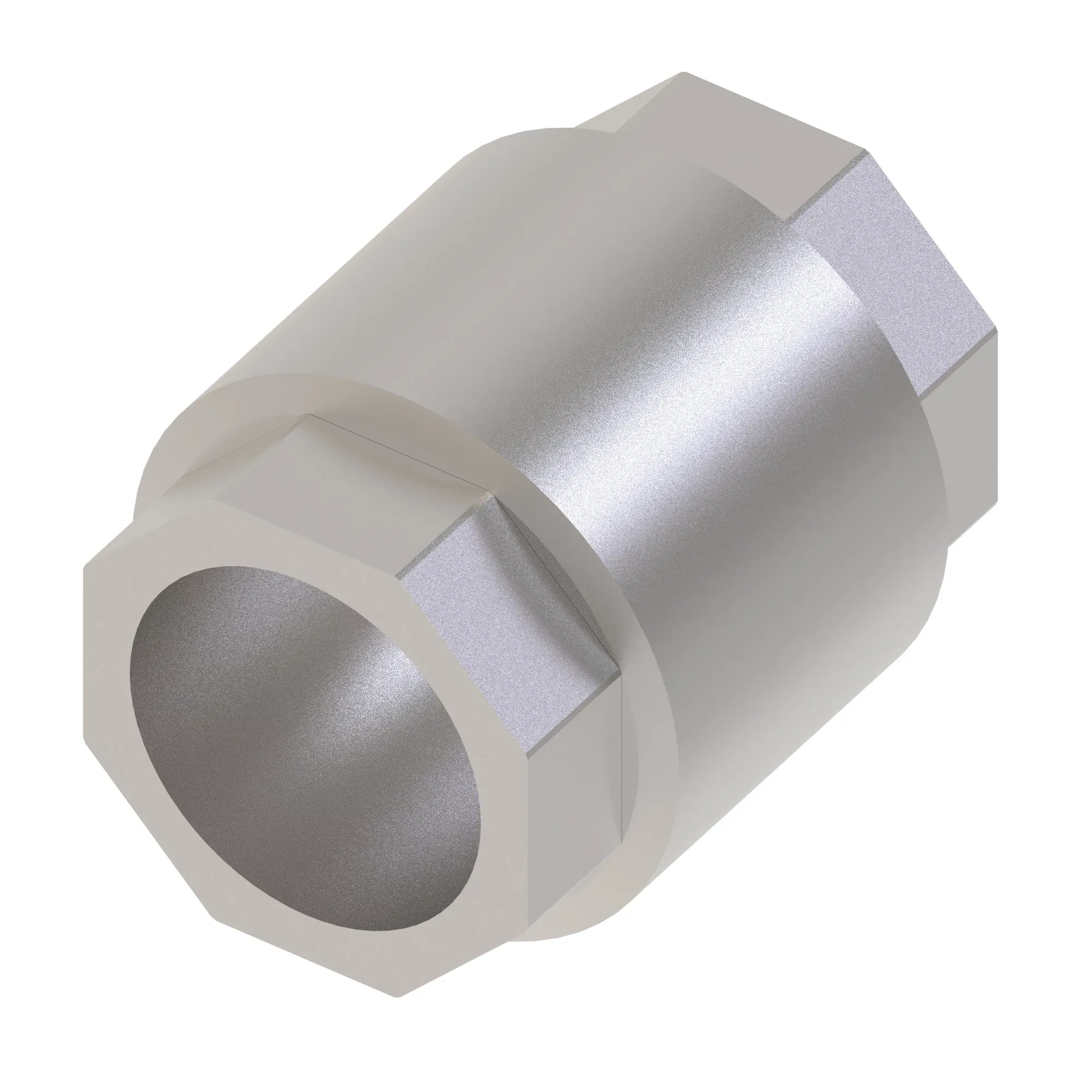 Check Valve