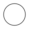 Piston Ring