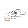 SEAL KIT, 5430 TILT, 110X45