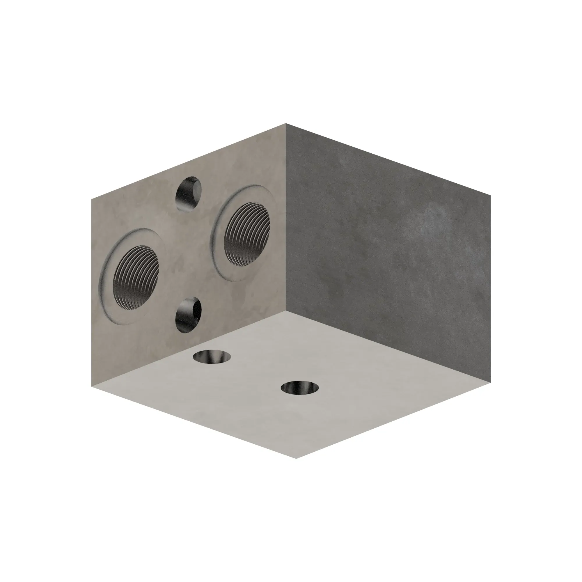 Manifold