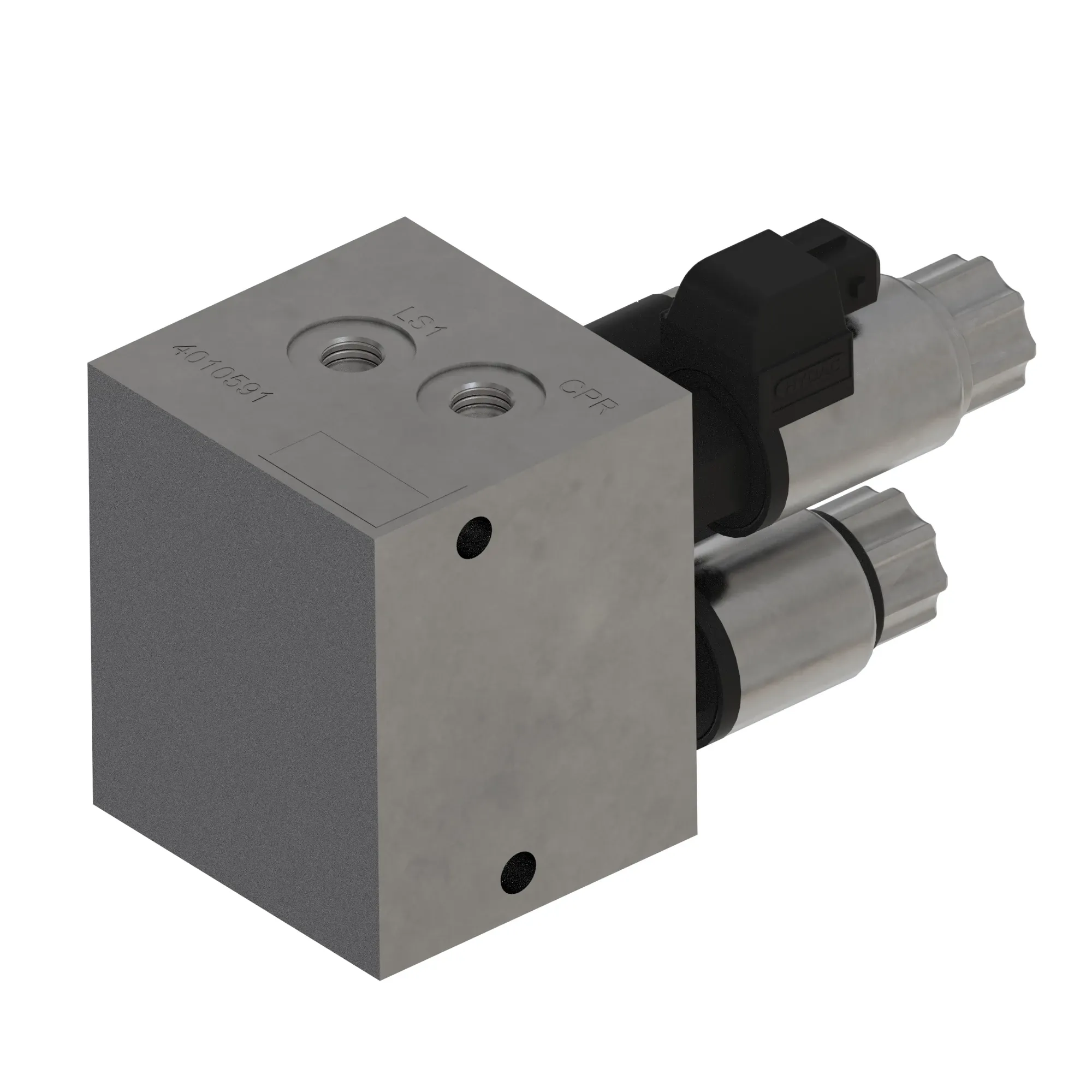 Manifold