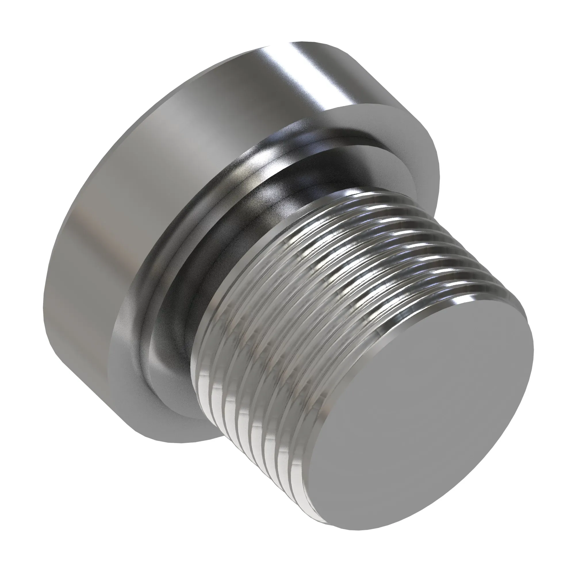 Plug, G1/8" Hex HD Stainless Steel