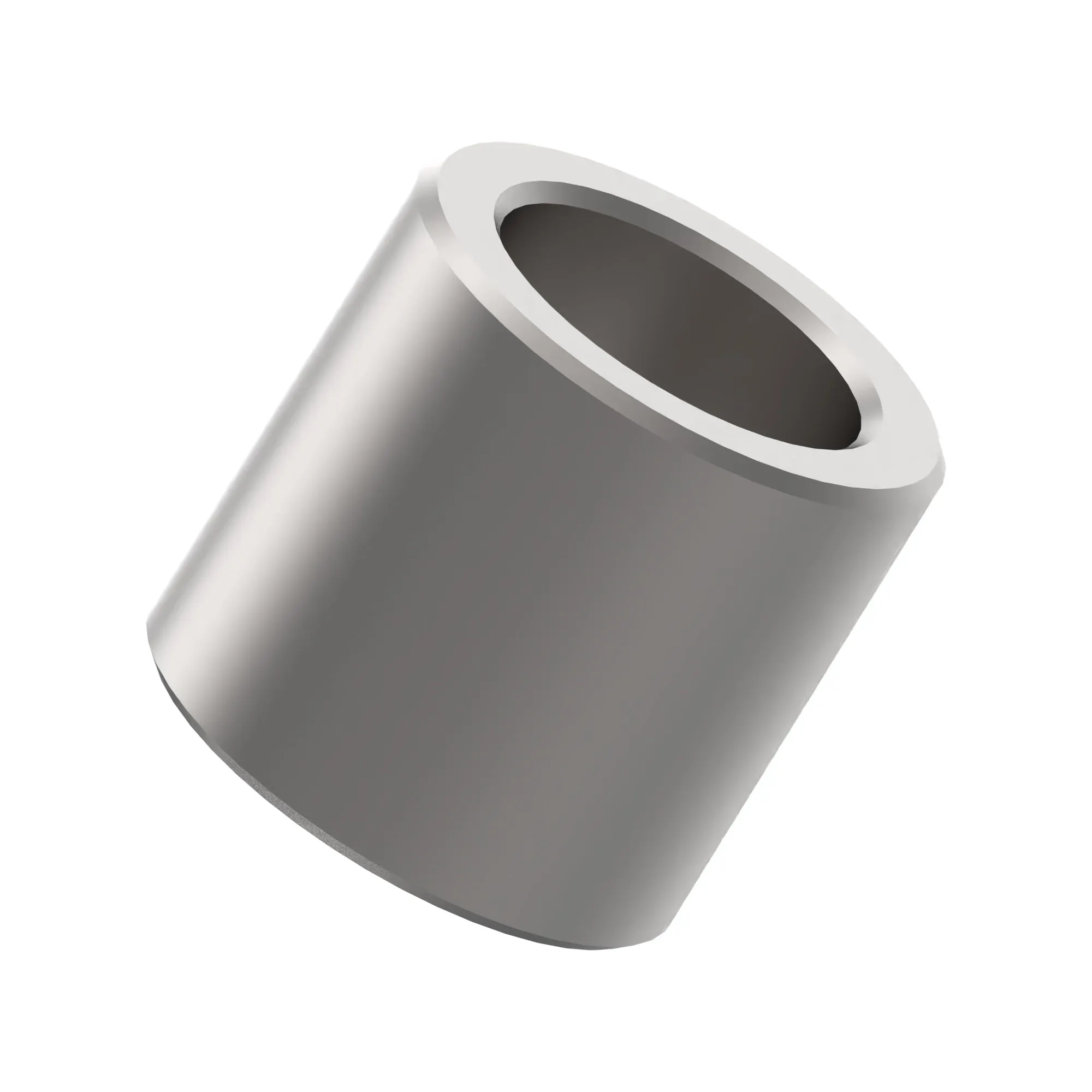 BUSHING, BELTS PIVOT