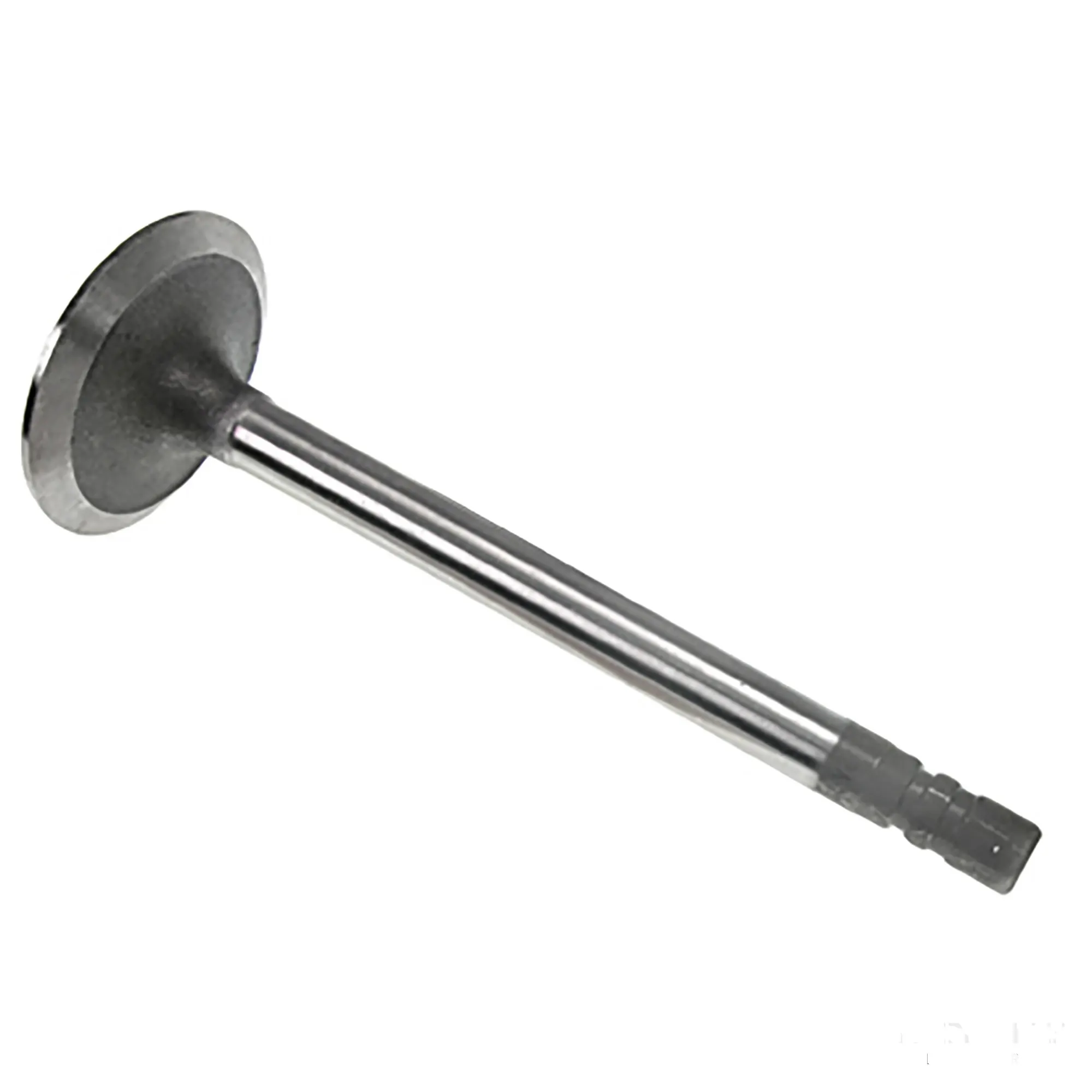 Intake Valve