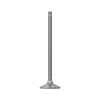 Intake Valve