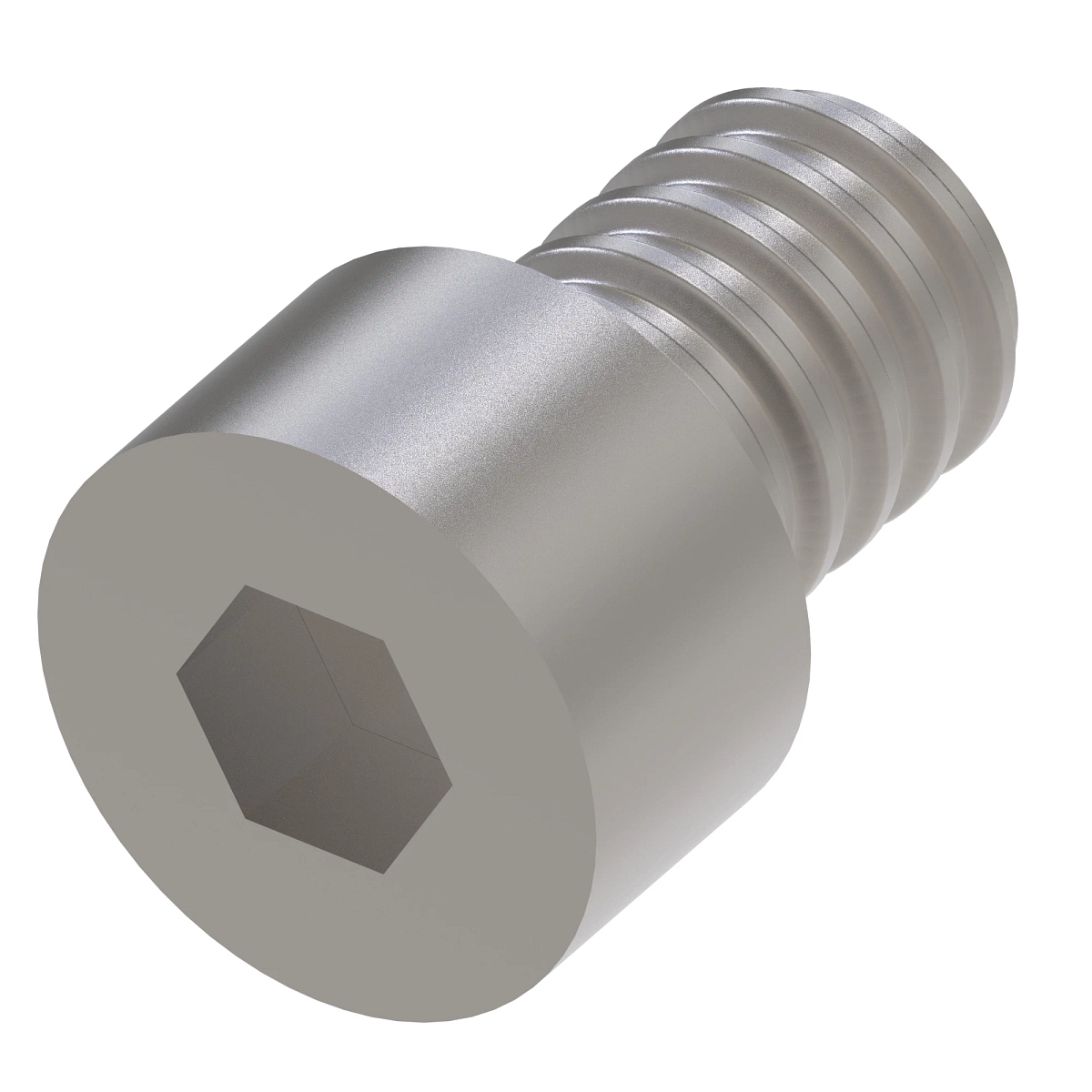Screw, Hex Socket Head, Metric