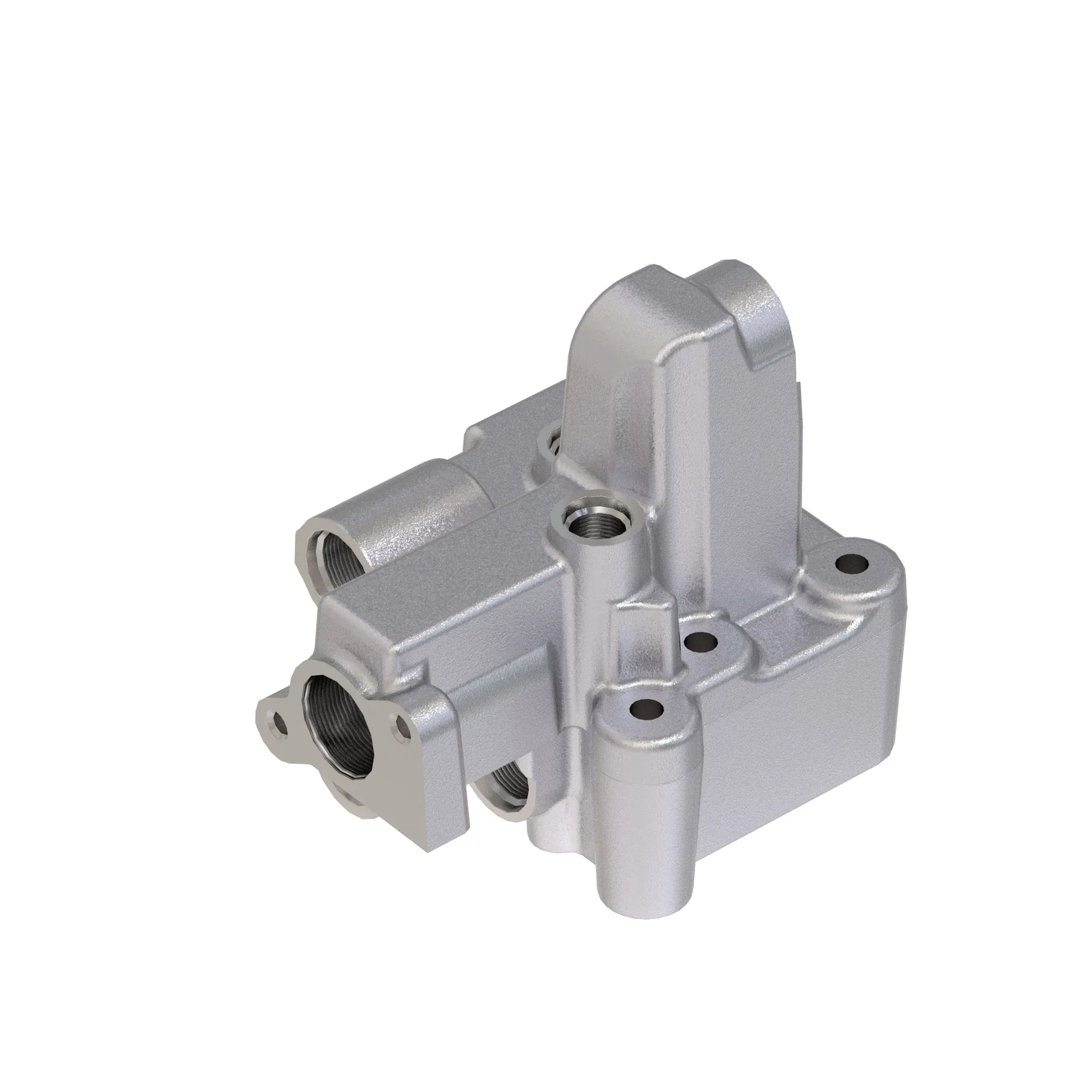 Manifold