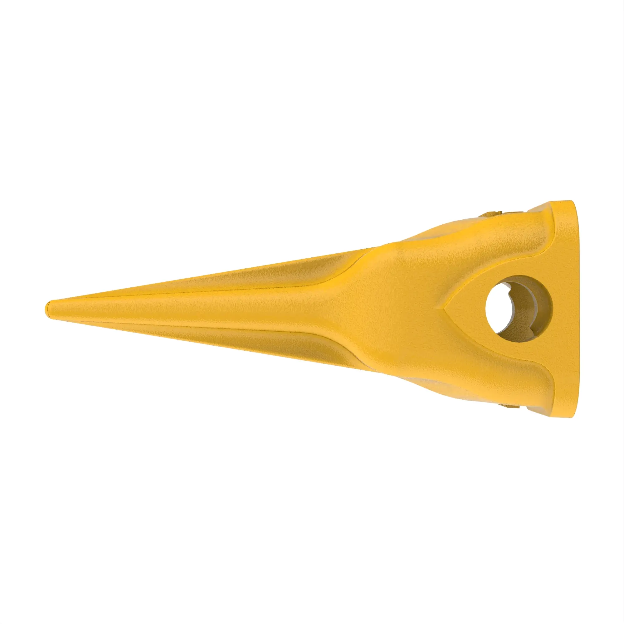 Tiger Tooth
