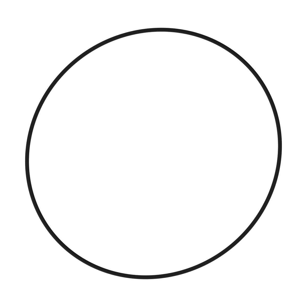 O-Ring