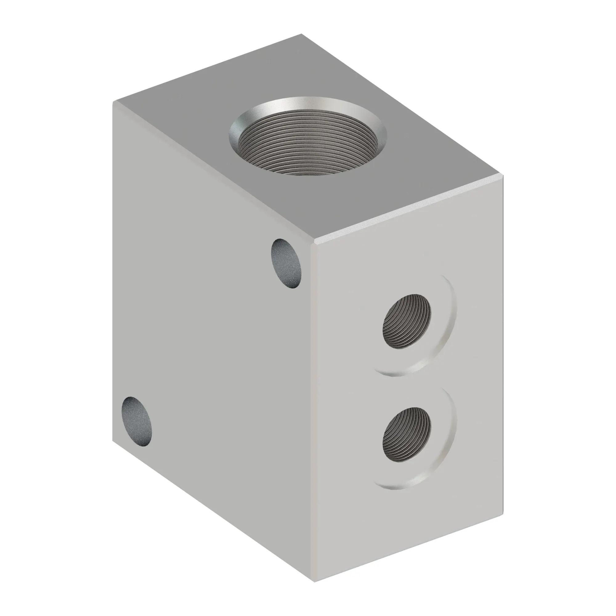 Manifold