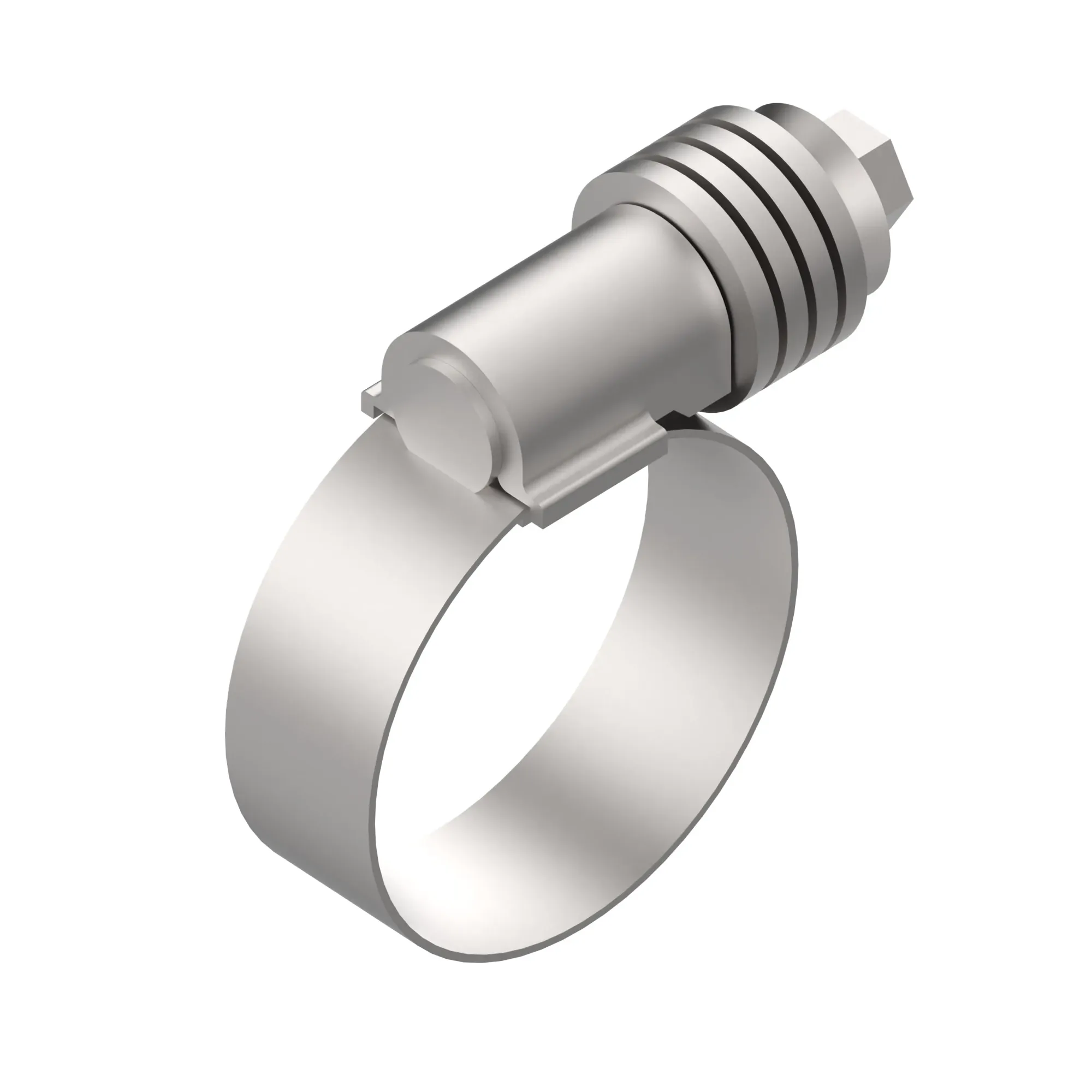 Hose Clamp