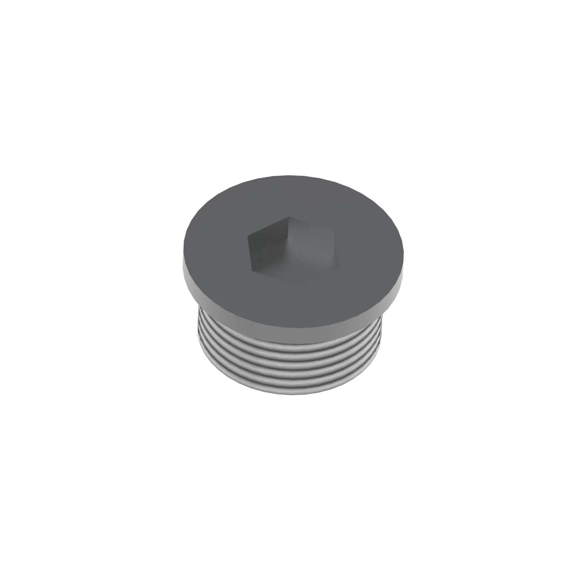 Pipe Plug