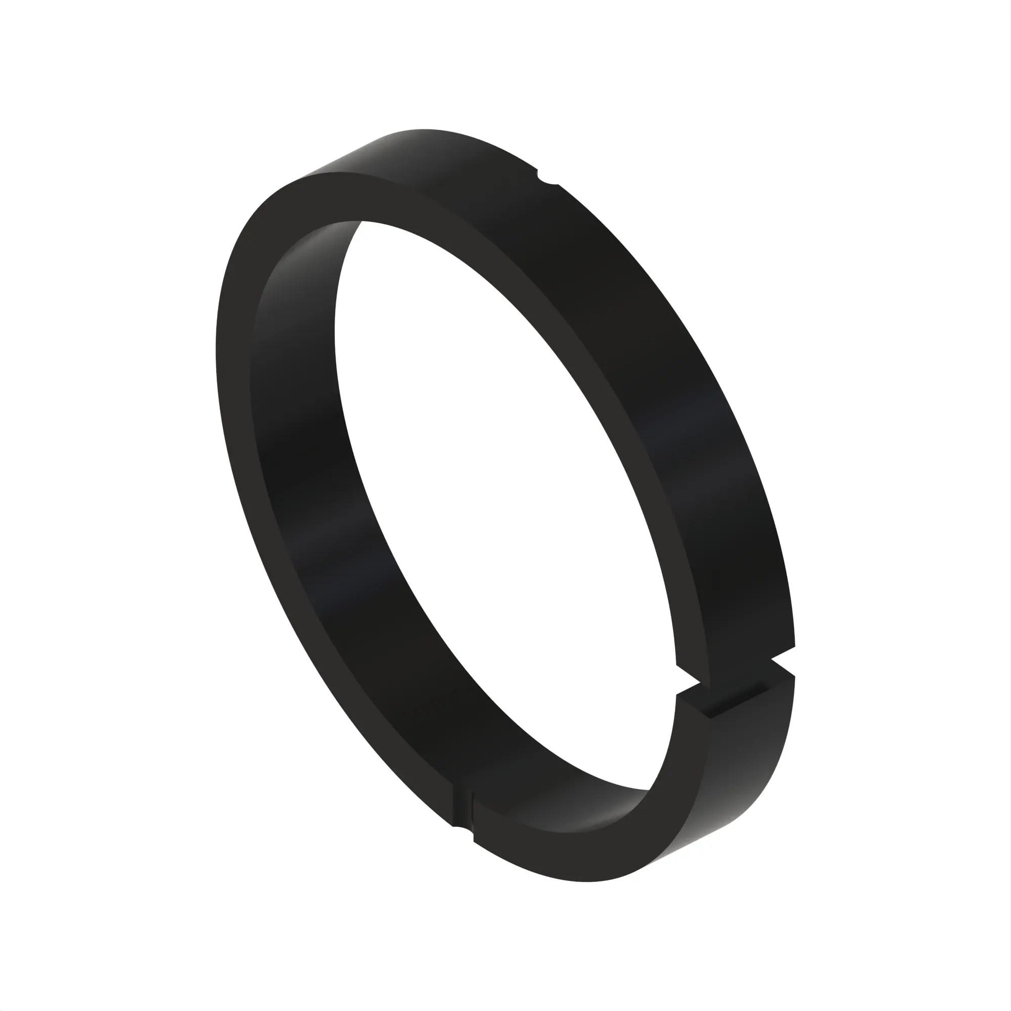 YZ81100: Ring Seal