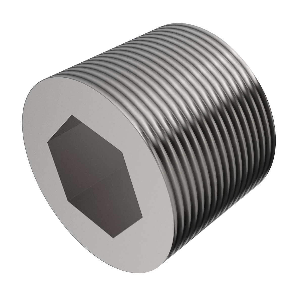 Pipe Plug