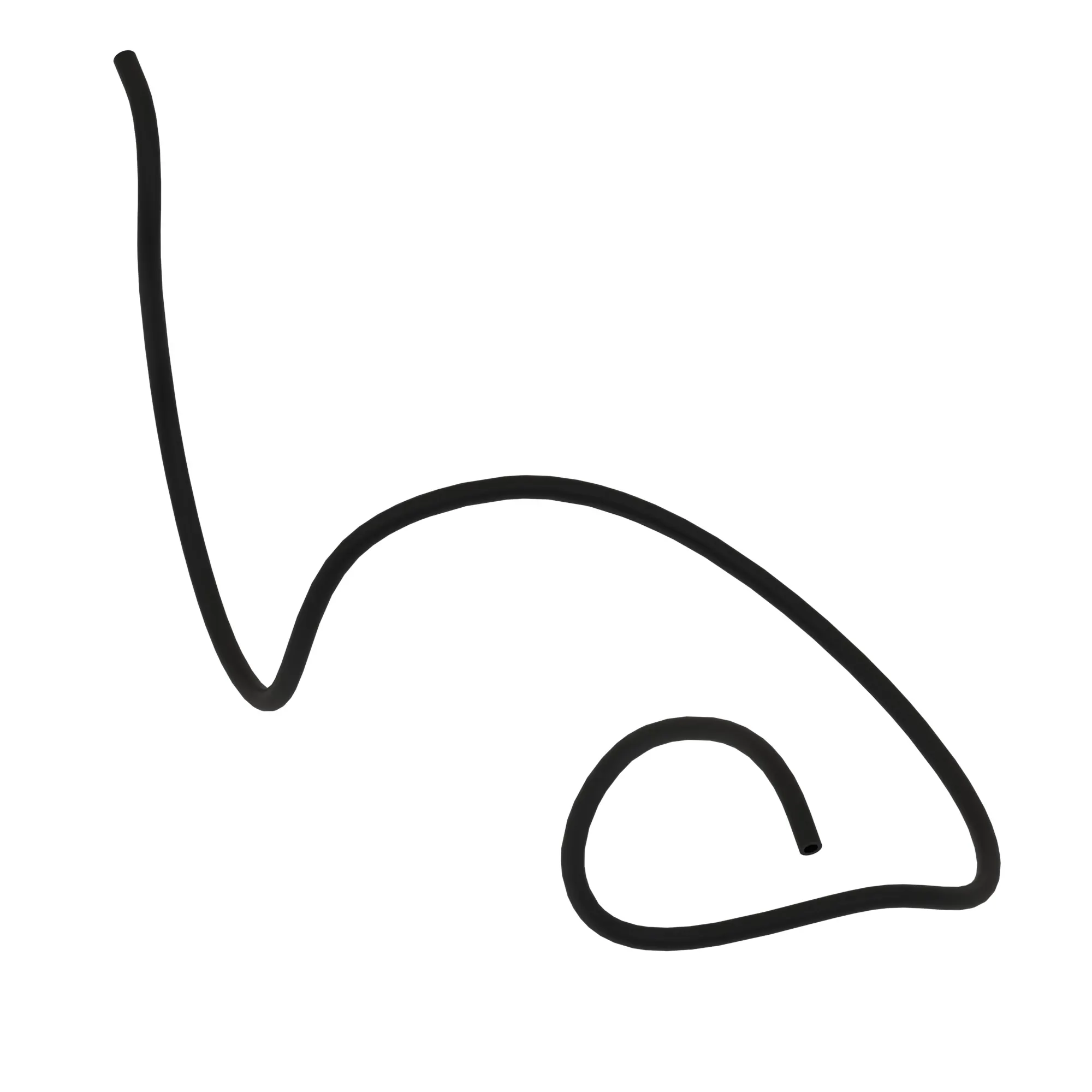 Hose