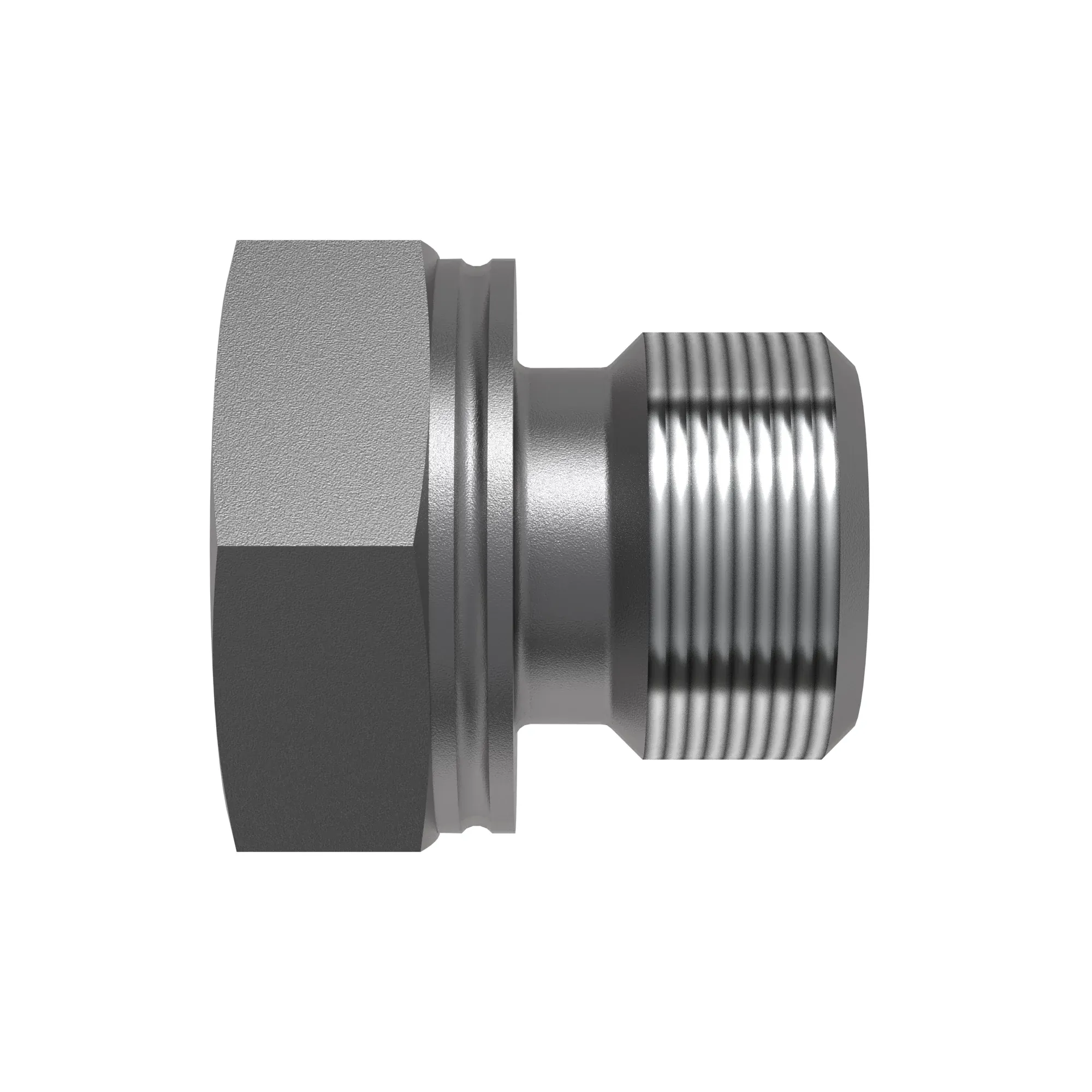 Fitting Plug