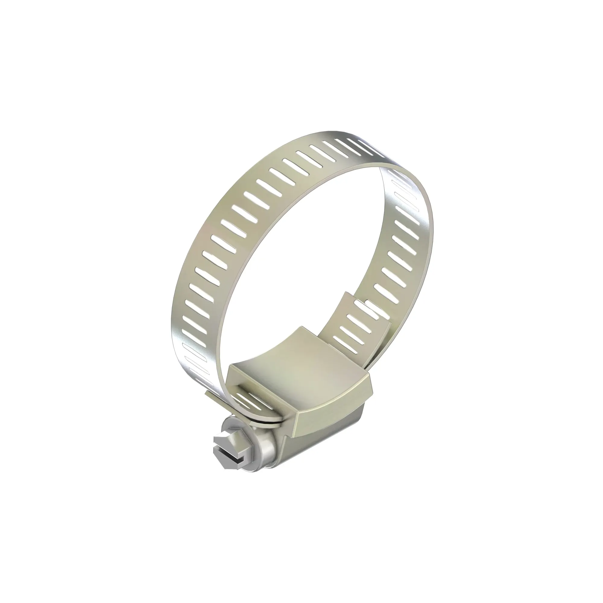Hose Clamp