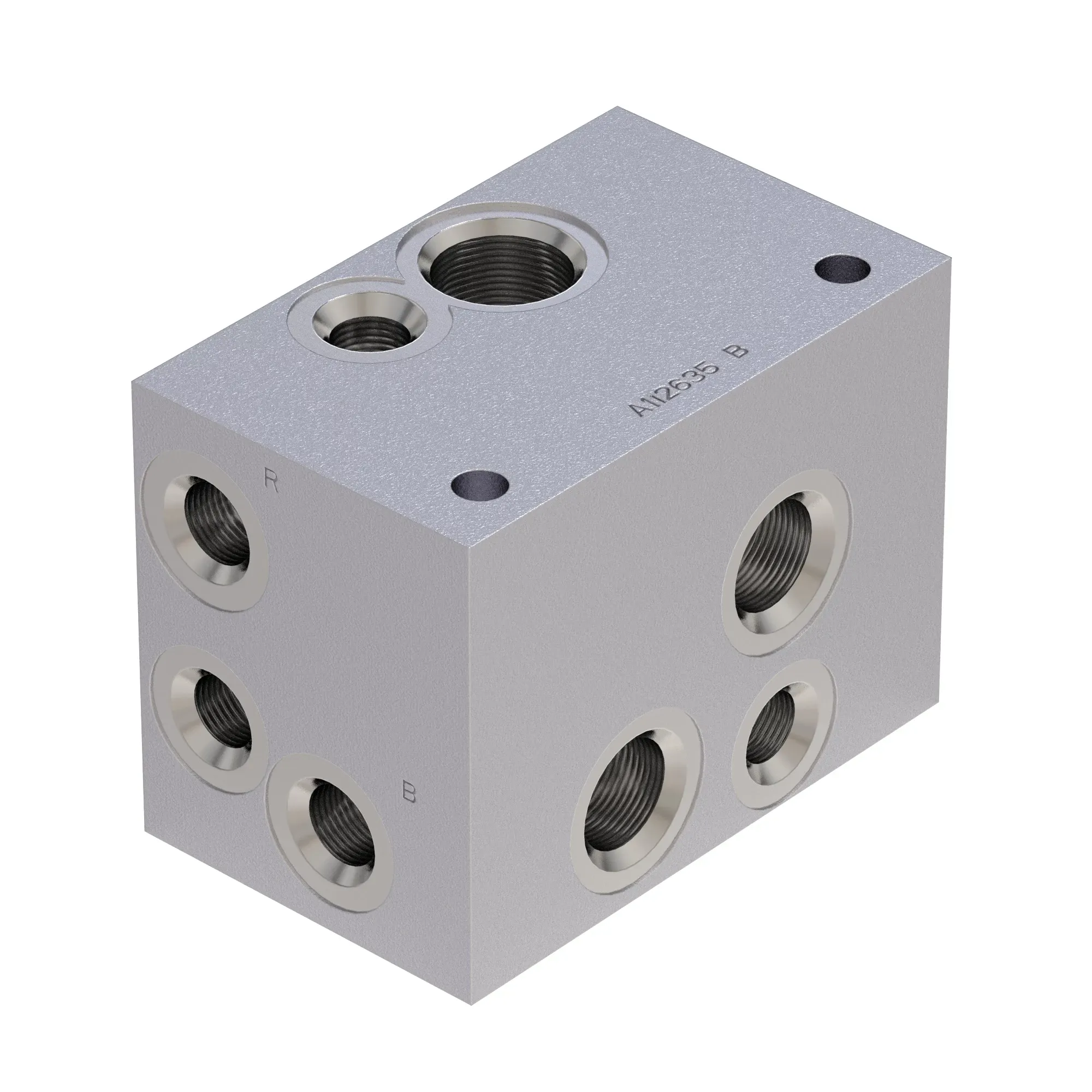 Manifold