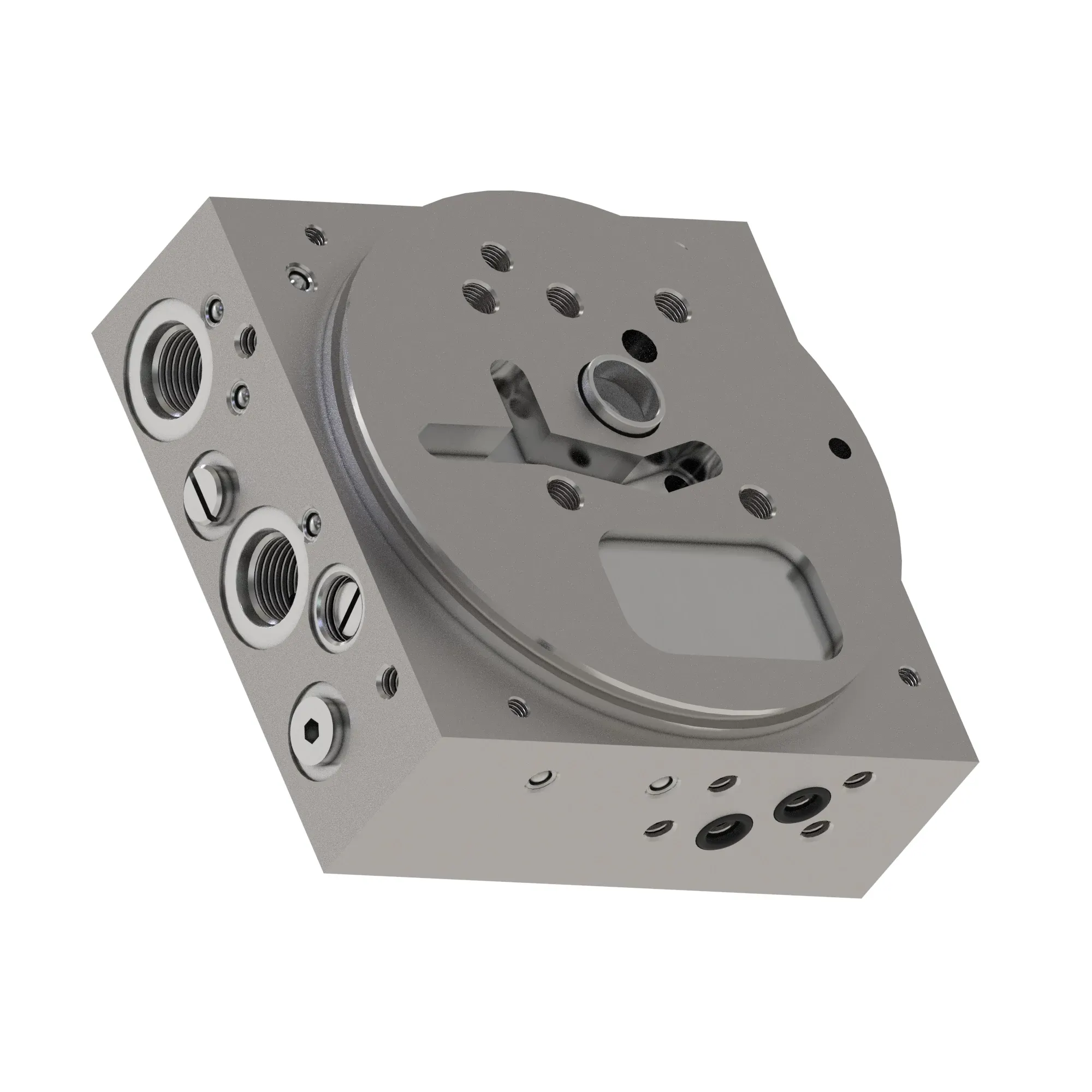 Manifold