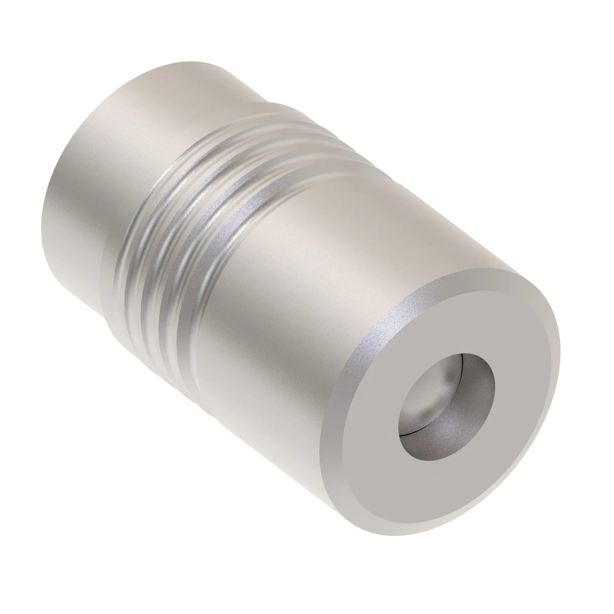 Check Valve