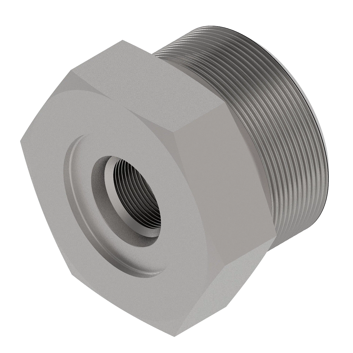 Fitting Plug