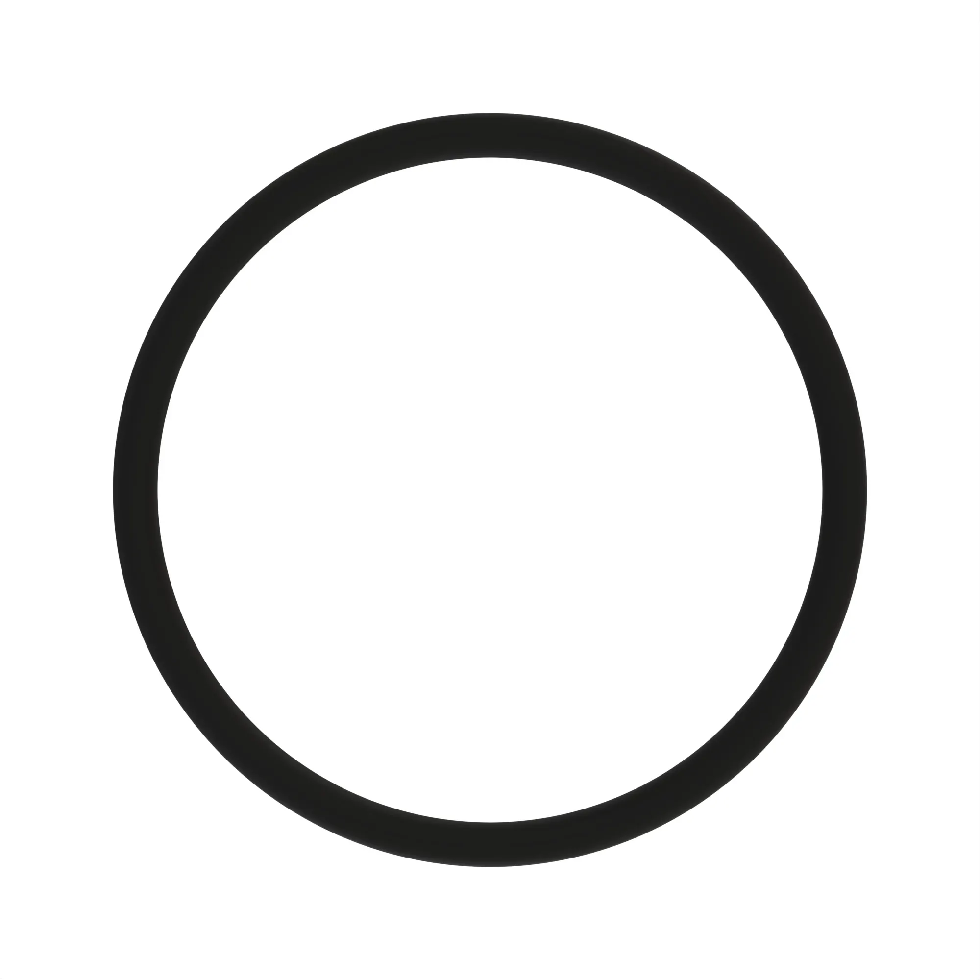 O-RING 44.6X2.9/90 JDS-G173.4 H4R