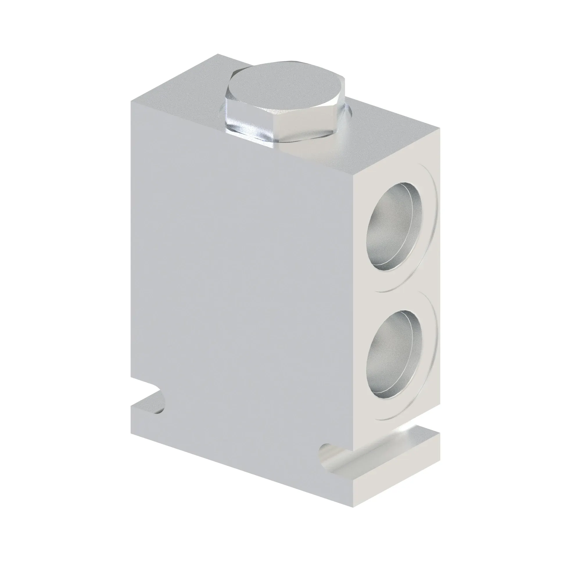 Check Valve