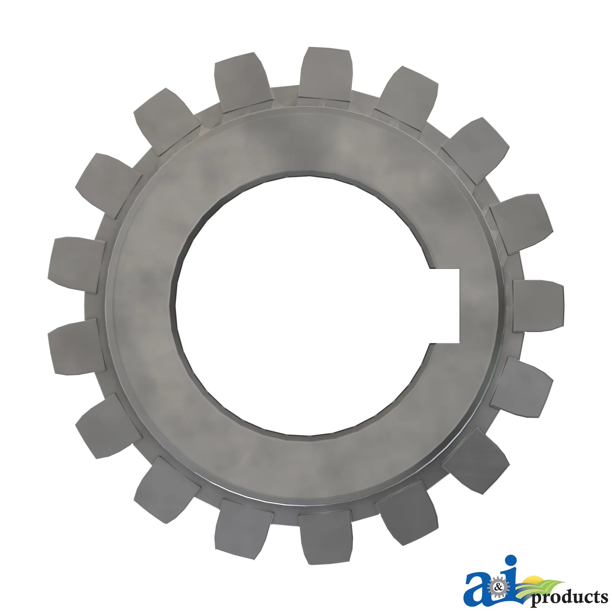 Bevel Gear