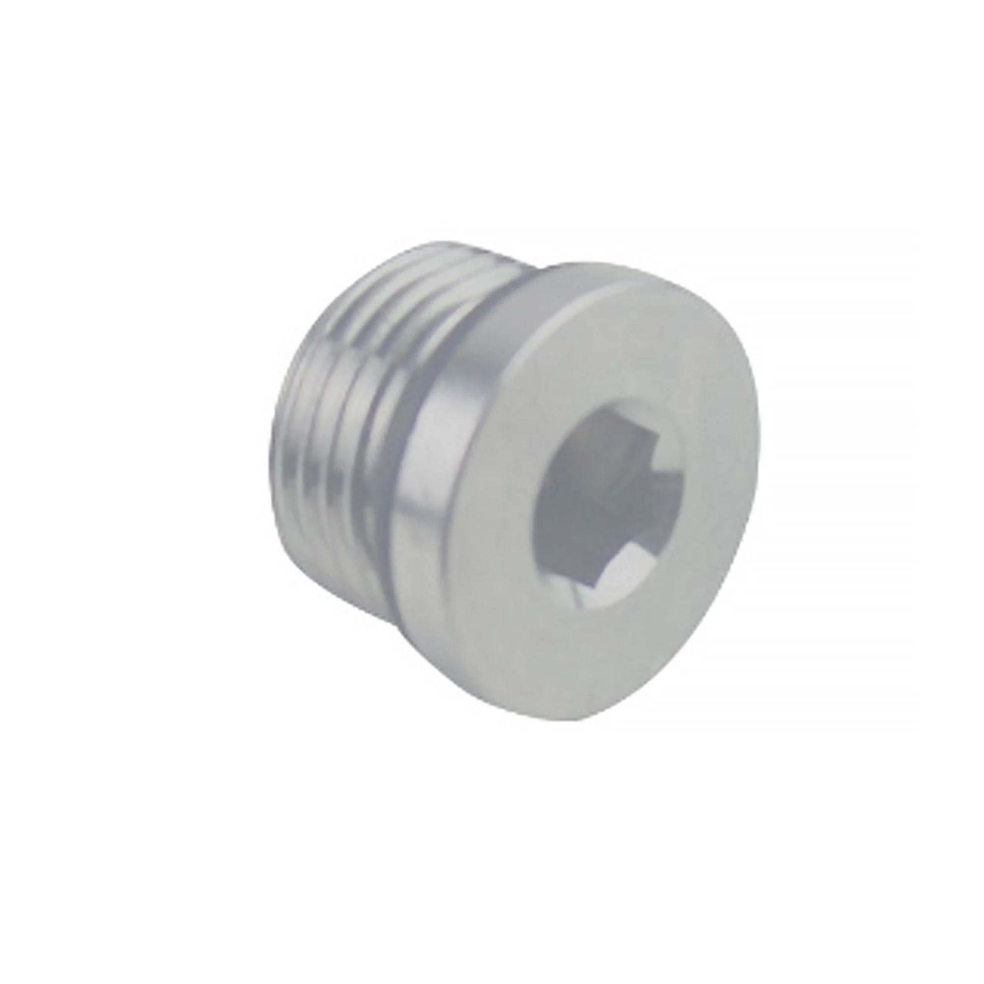 PLUG ASSEMBLY
