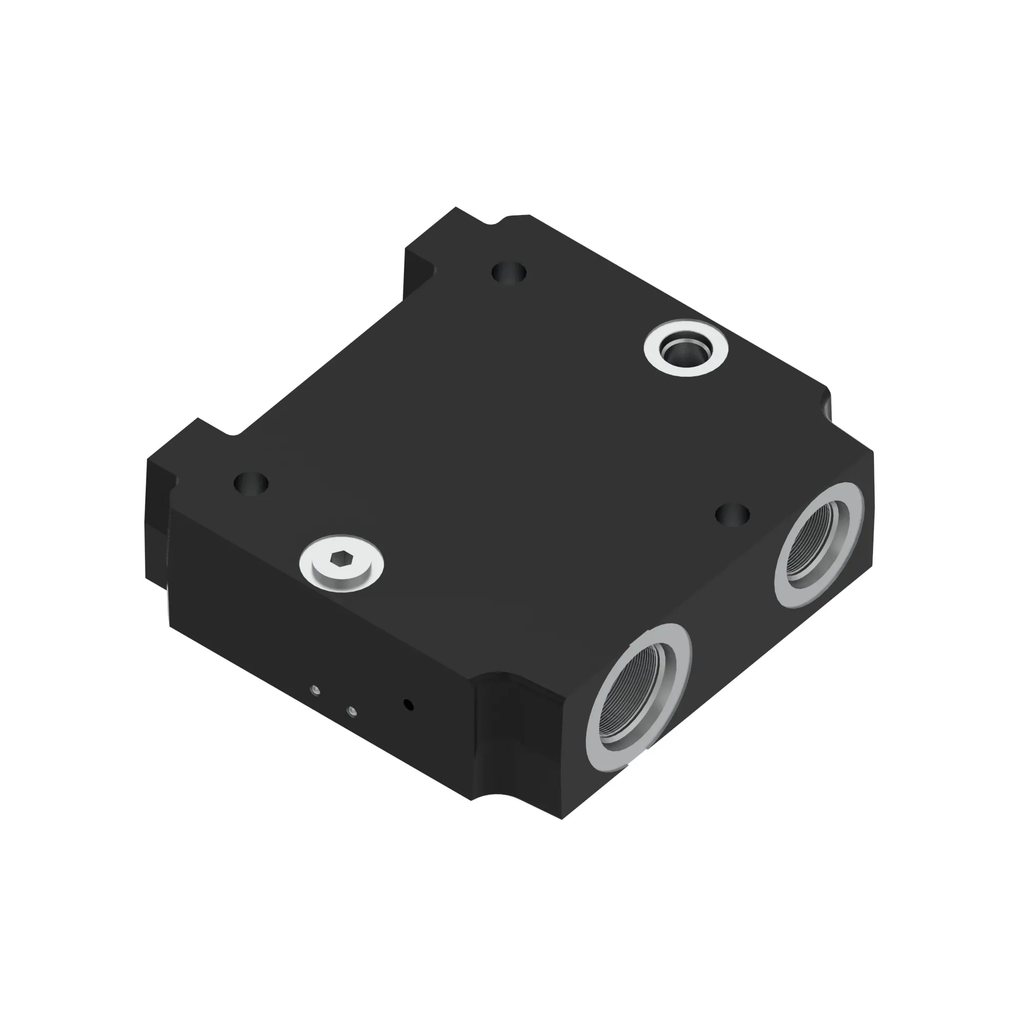 VALVE INLET/OUTLET SECTION