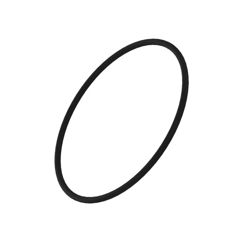 O-RING, PACKING