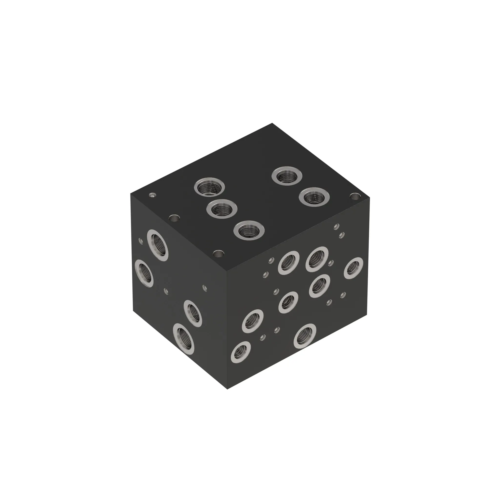 Manifold