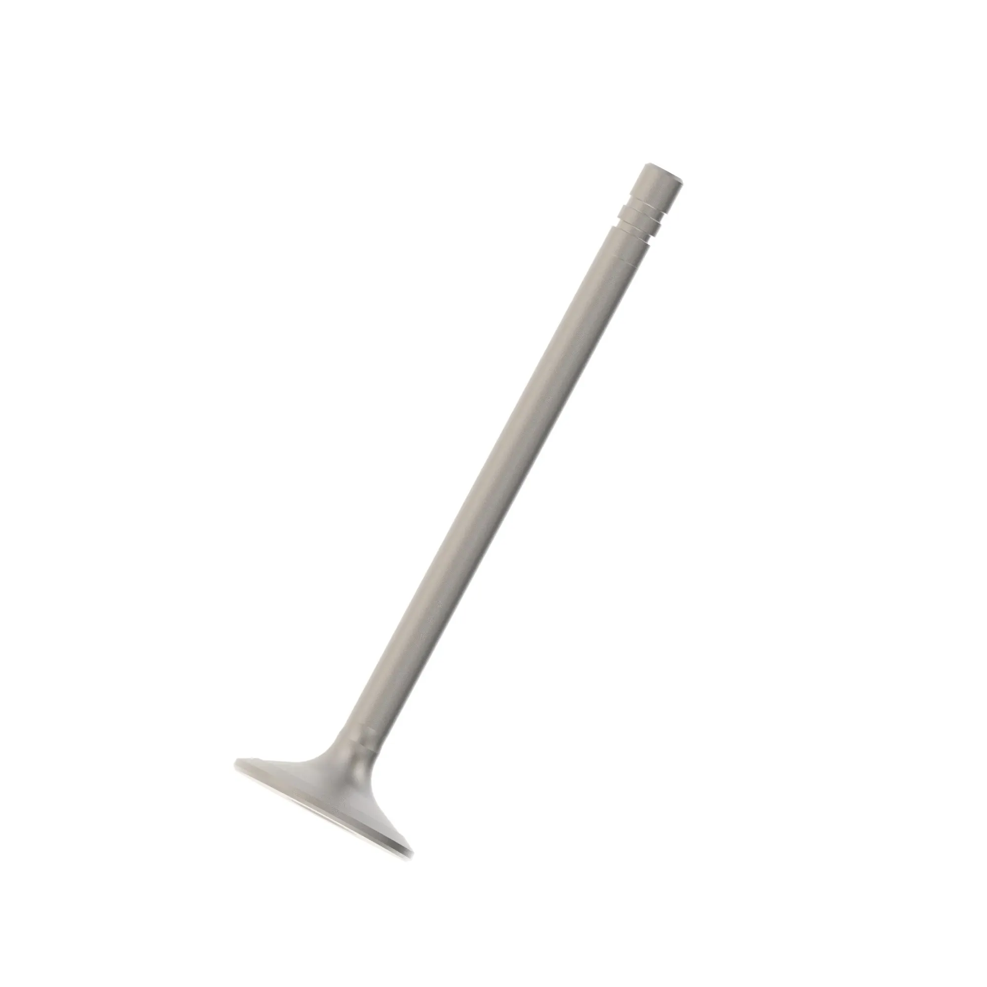 Intake Valve