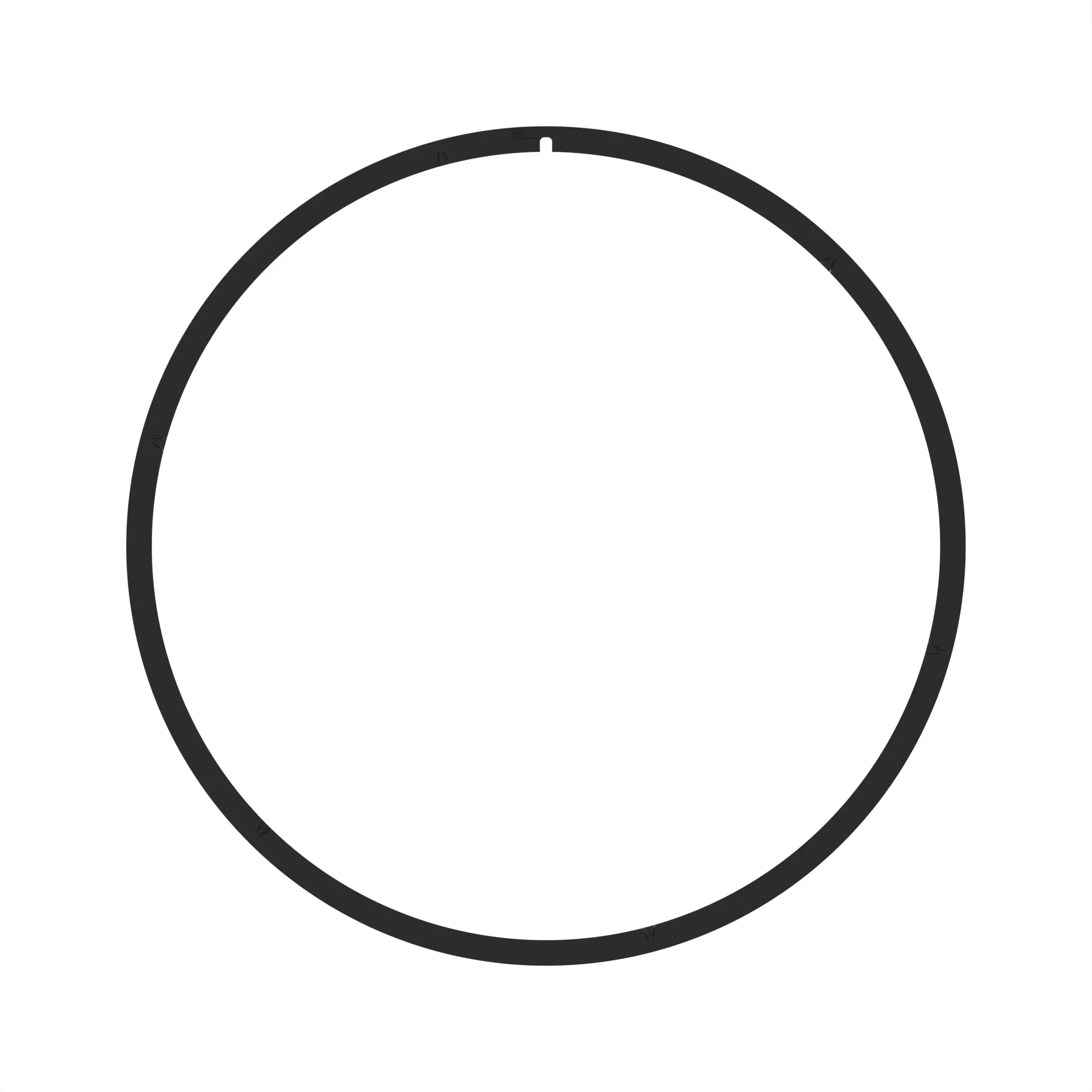 R219819: Sealing Ring