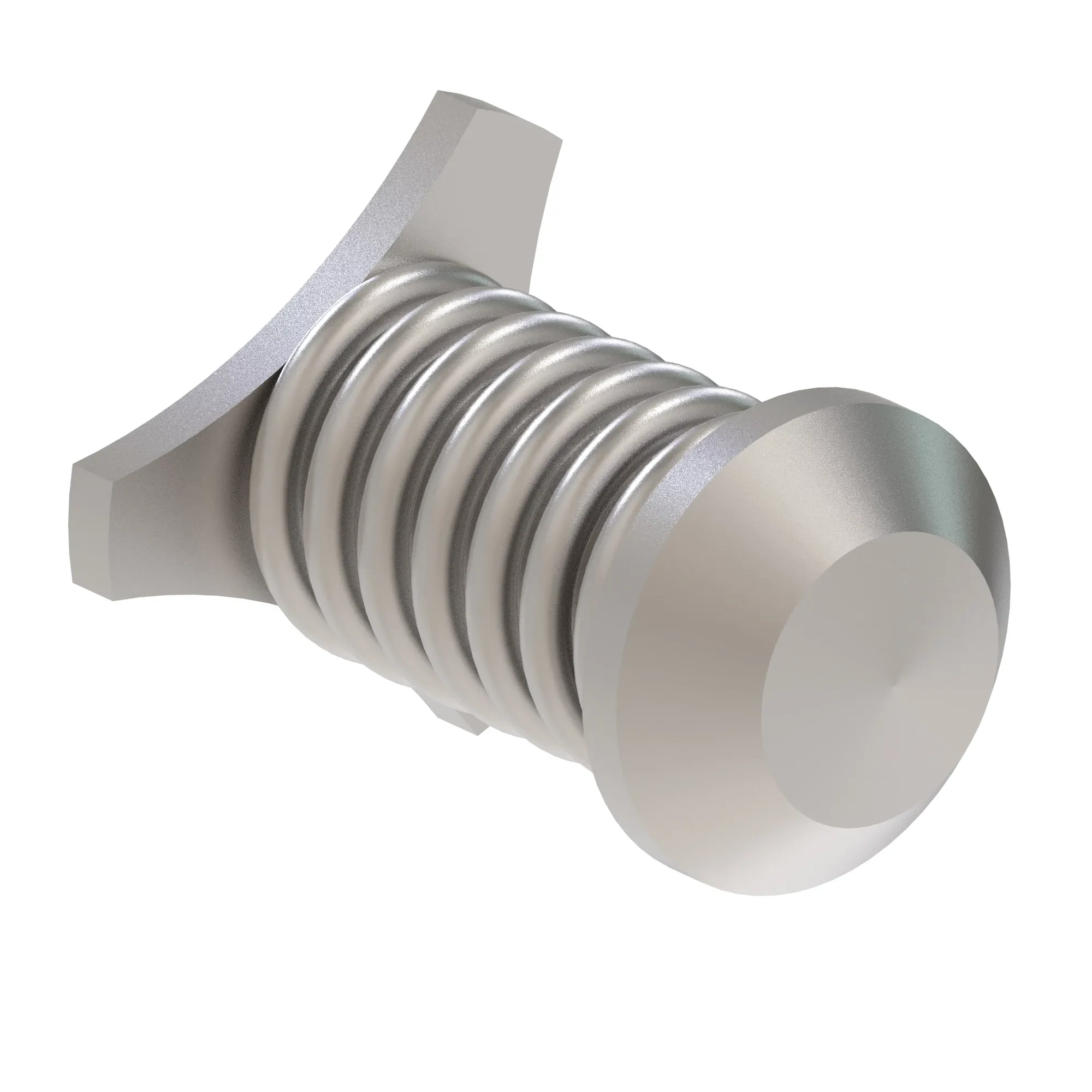 Check Valve