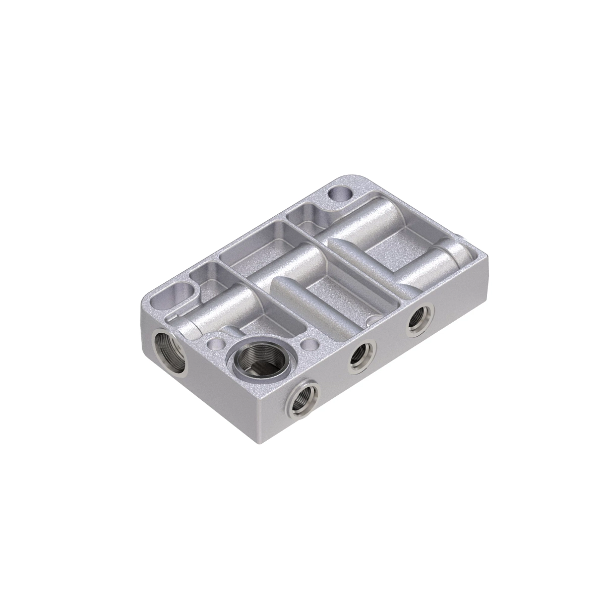 Manifold
