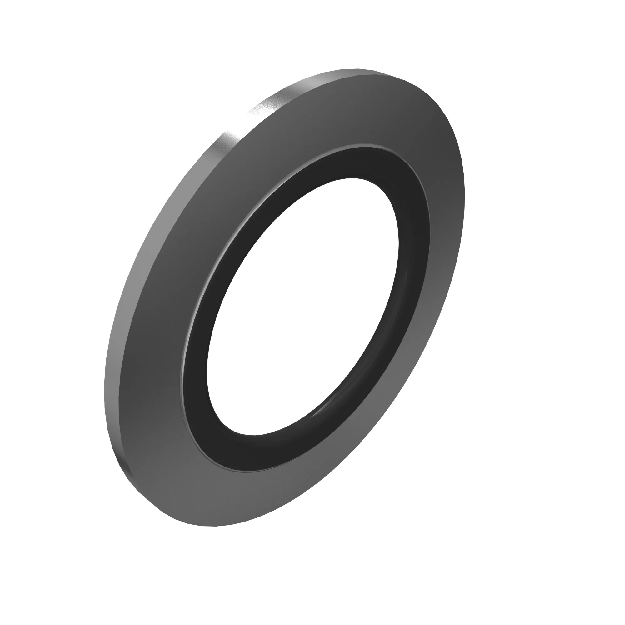 Sealing Washer